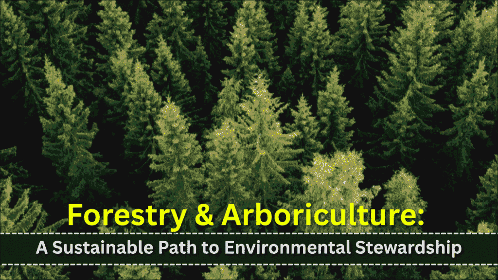 Forestry & Arboriculture, A Sustainable Path to Environmental Stewardship