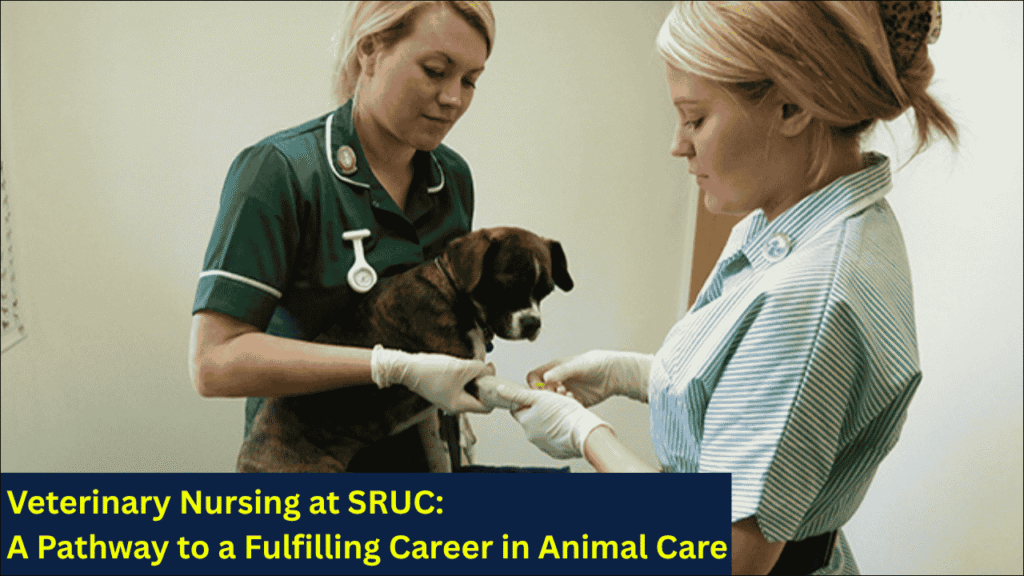Veterinary Nursing at SRUC, A Pathway to a Fulfilling Career in Animal Care
