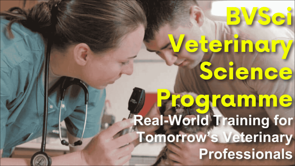 BVSci Veterinary Science Programme, Real-World Training for Tomorrow’s Veterinary Professionals
