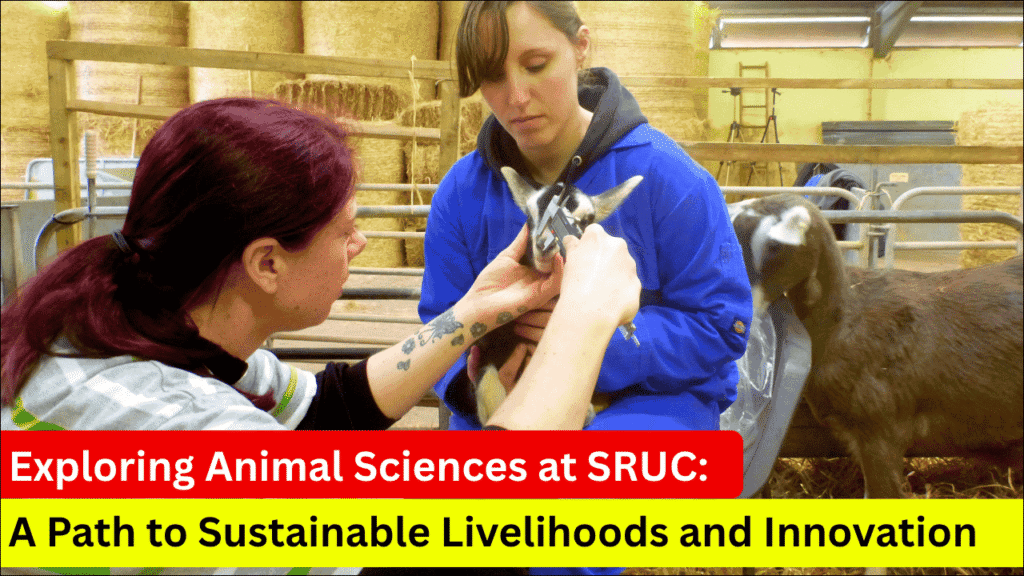Exploring Animal Sciences at SRUC, A Path to Sustainable Livelihoods and Innovation