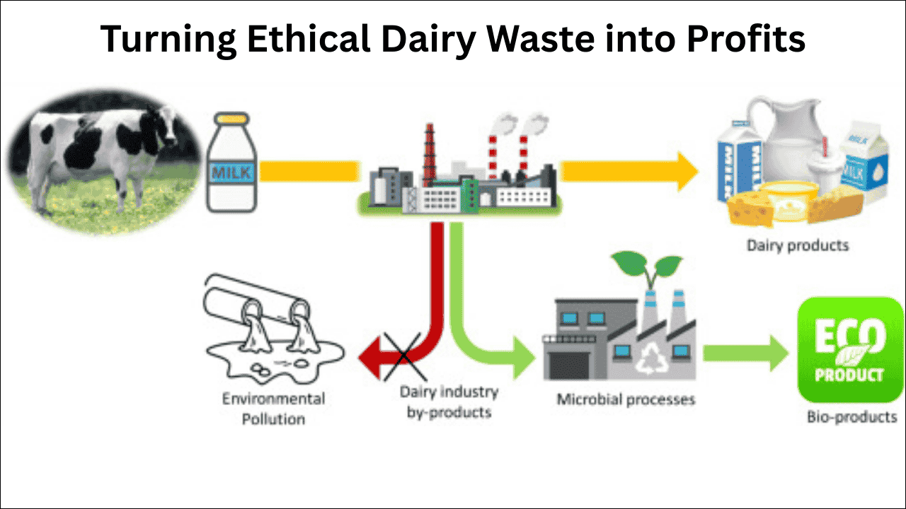 Turning Ethical Dairy Waste into Profits