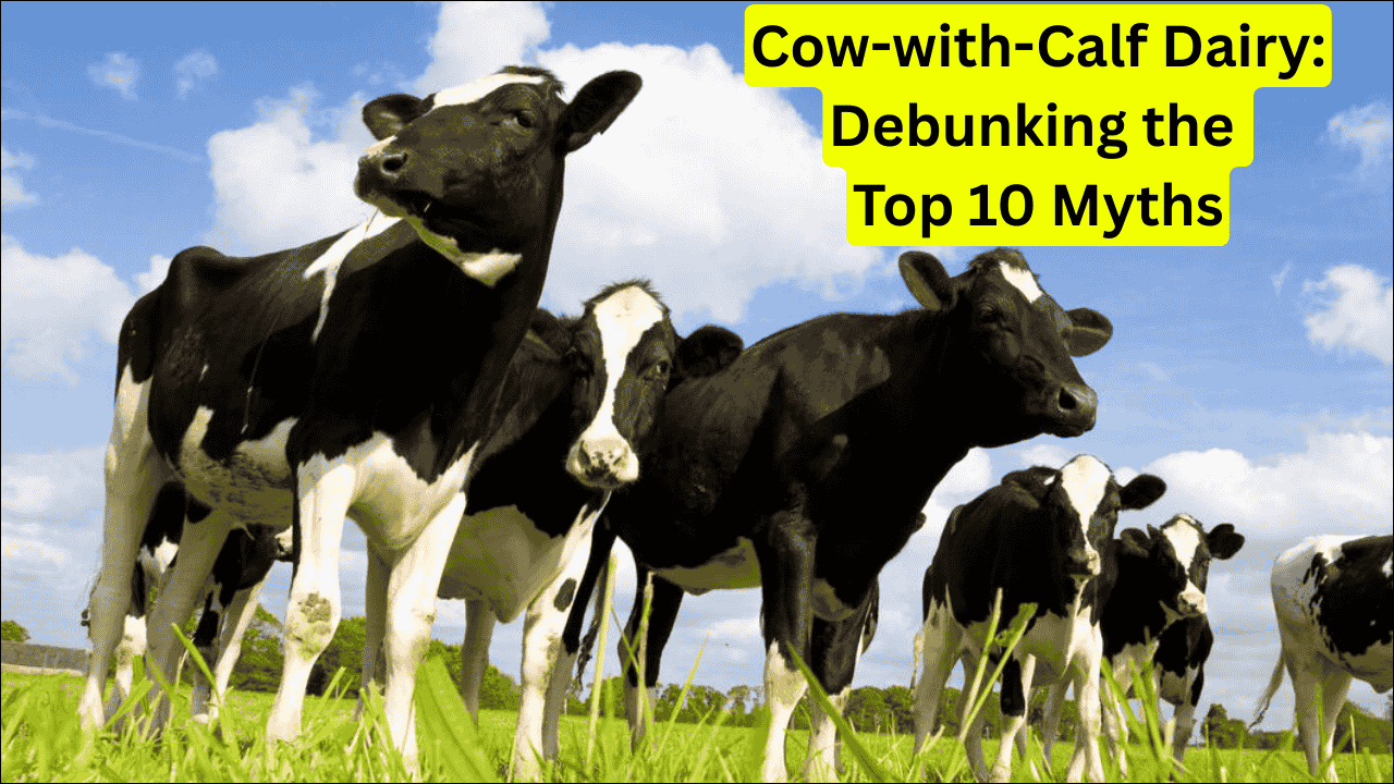 Debunking the Top 10 Myths