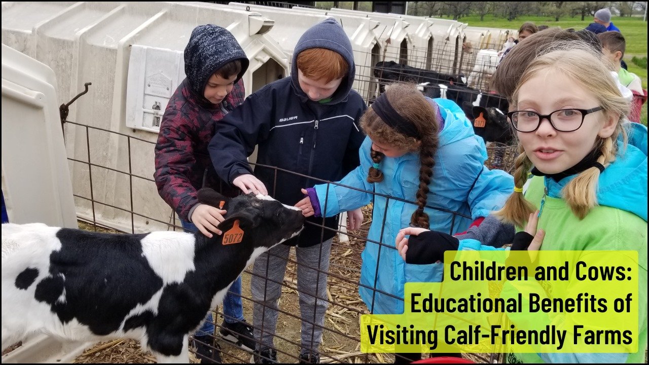 Children and Cows