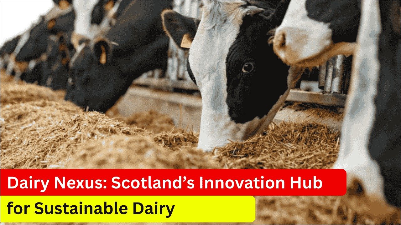 Dairy Nexus: Scotland’s Innovation Hub for Sustainable Dairy